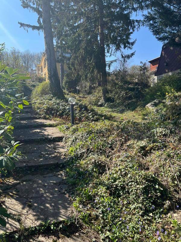 Gartenweg mit Stufen, der einen Hang hinaufführt, umgeben von Bäumen und Sträuchern.