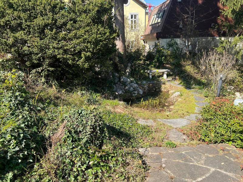 Ruhiger Gartenabschnitt mit einem kleinen Teich, einer Steinbank und dichter Vegetation.