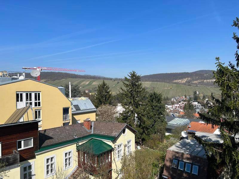 PRESTIGE WINZERHAUS MIT IDYLLISCHEM GARTEN & SUPER AUSSICHT NEUSTIFT AM WALDE