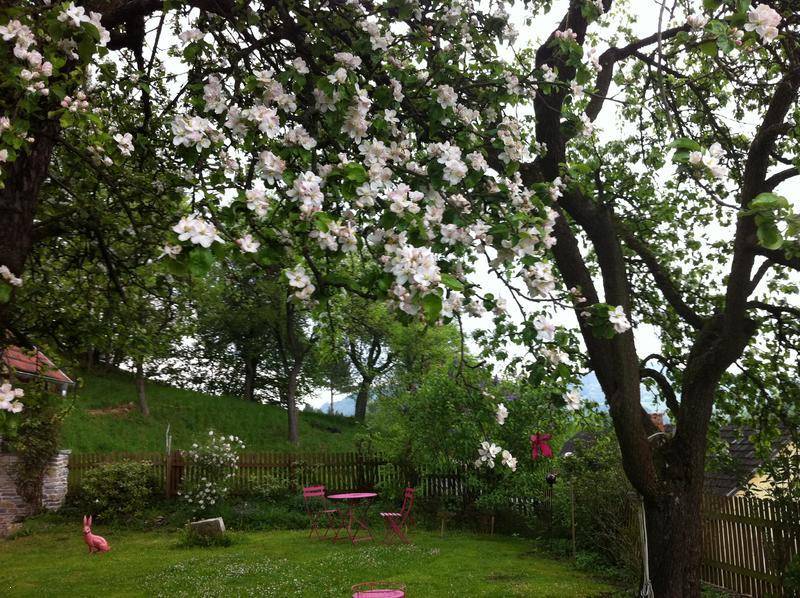 Blühender Obstbaum im Garten mit rosa Gartenset und Hasenfigur im Hintergrund.