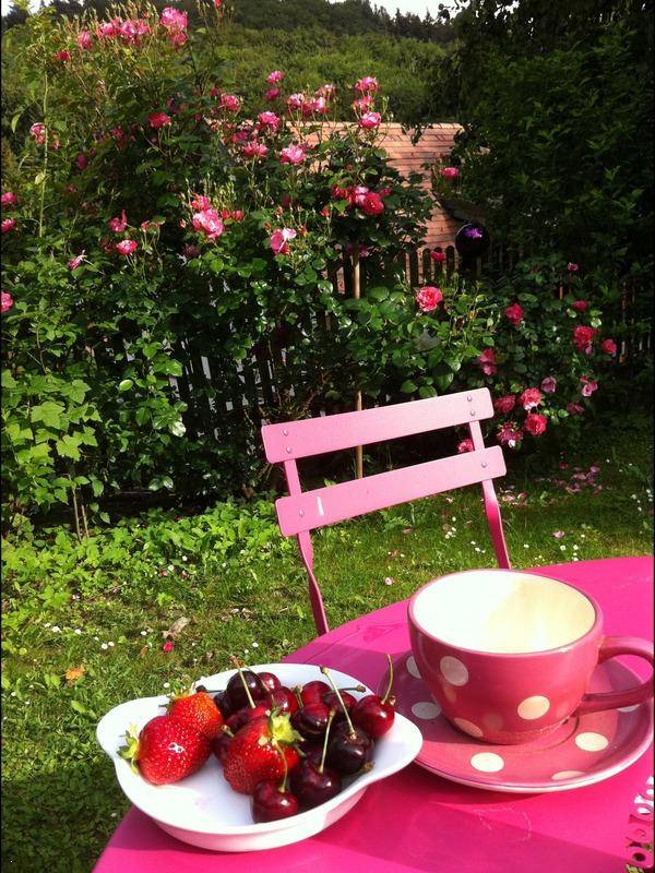 Gemütlicher Gartentisch mit frischen Erdbeeren und Kirschen vor einem blühenden Rosenbusch.