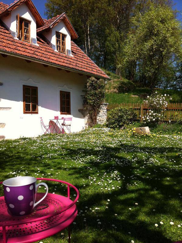 Malerischer Garten mit Gänseblümchenwiese, rosa Gartentisch und einer lila Tasse im Vordergrund.