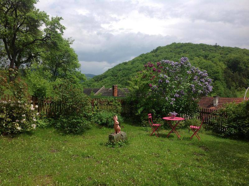 Weitläufiger Garten mit grüner Wiese, blühenden Büschen und Blick auf die bewaldeten Hügel.