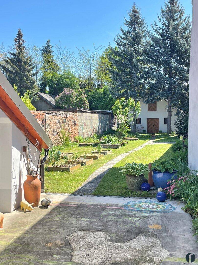 Blick in den Garten