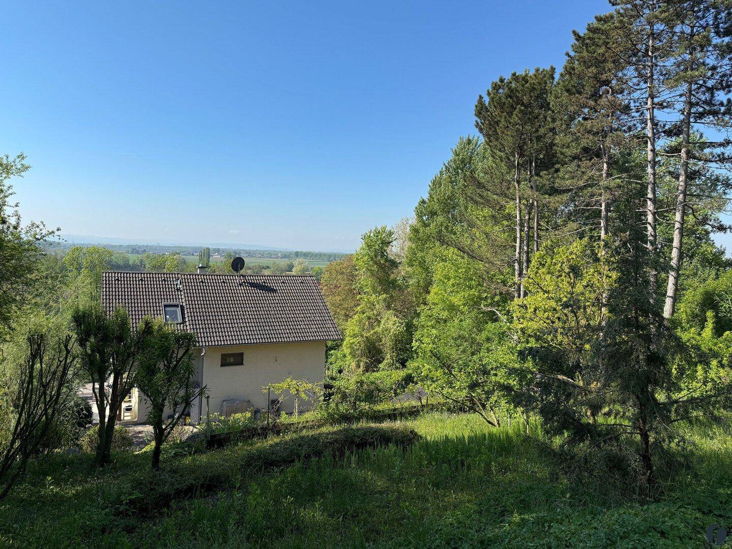 Garten hinter dem Haus