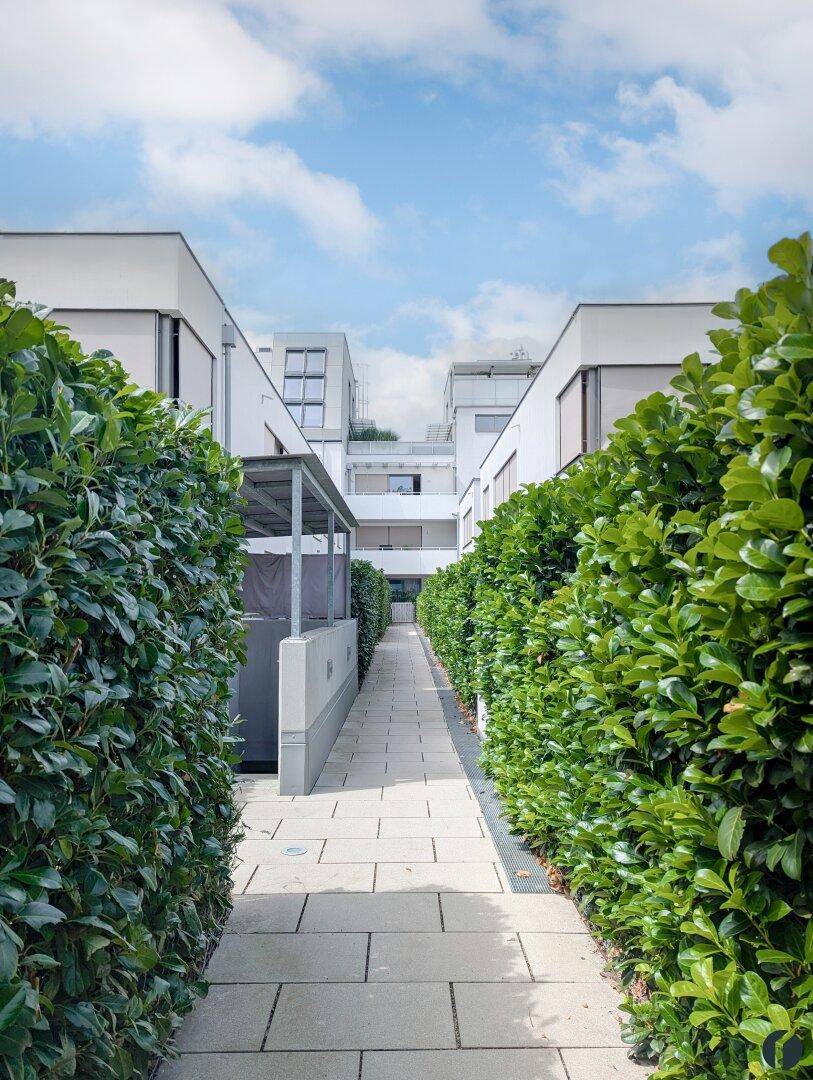 Wohnanlage - Weg zum Schwimm-Biotop