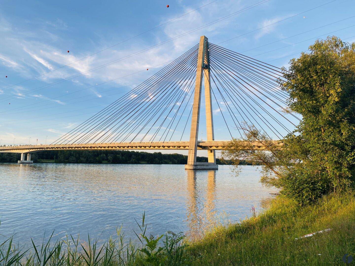 Impressionen aus der näheren Umgebung - Rosenbrücke