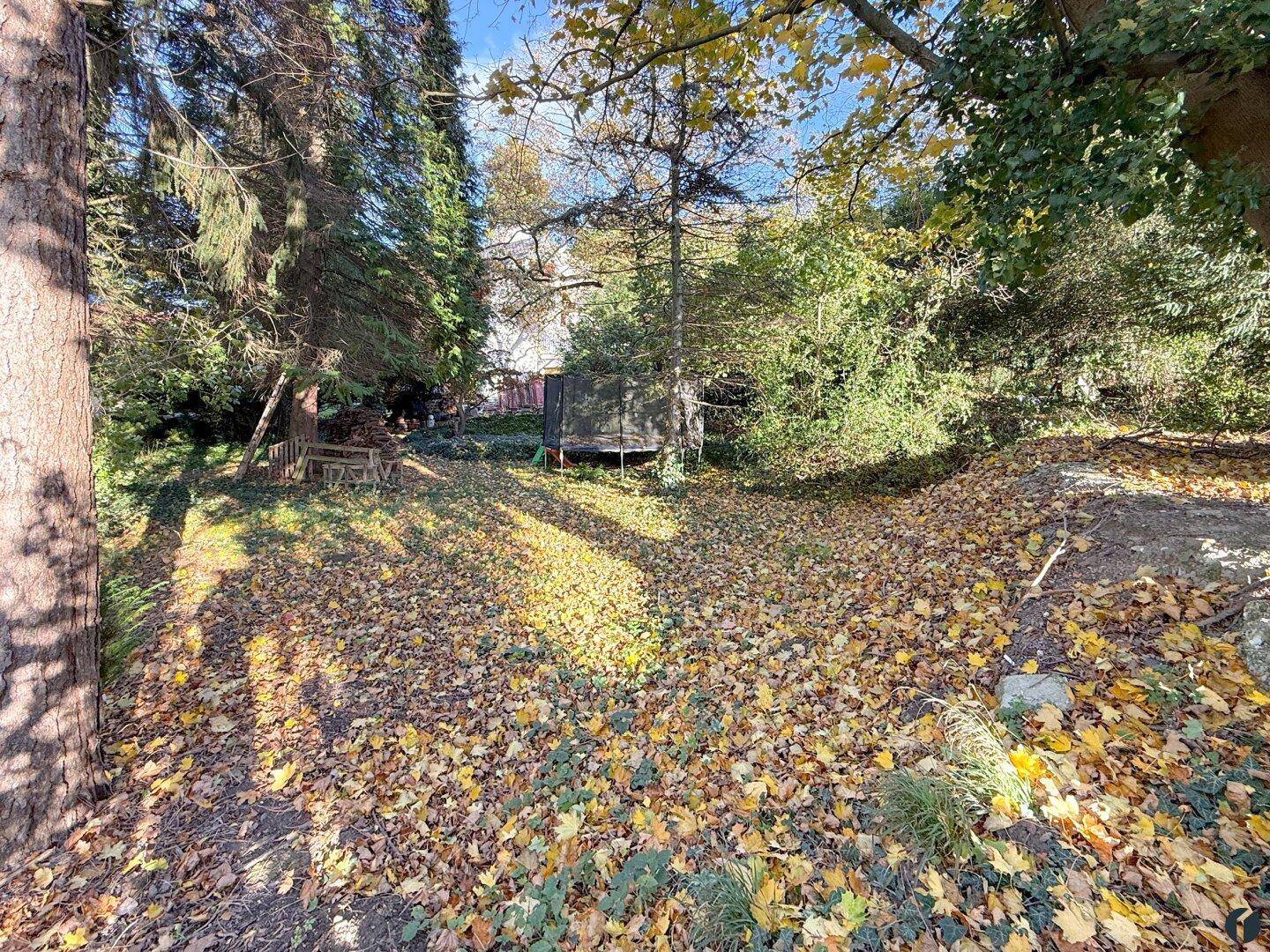 Naturbelassener Gartenbereich mit Herbstlaub und einem Trampolin im Hintergrund.