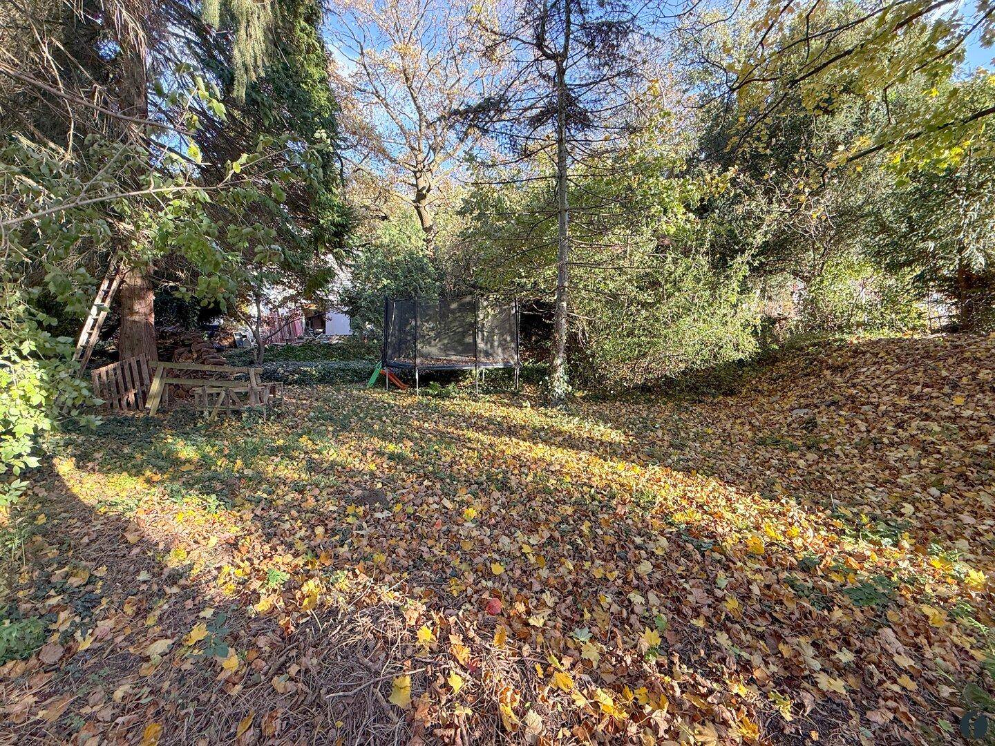 Herbstlicher Garten mit altem Baumbestand und einem Trampolin, das auf Nutzung wartet.
