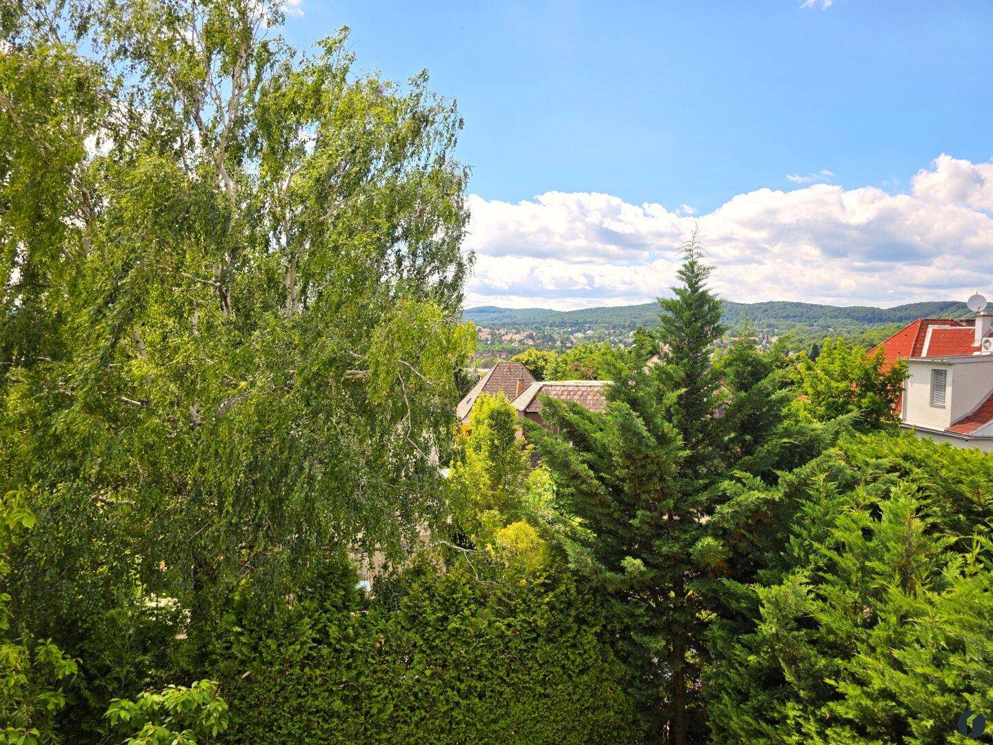 Malerischer Ausblick über grüne Bäume und die umliegende Landschaft unter blauem Himmel.