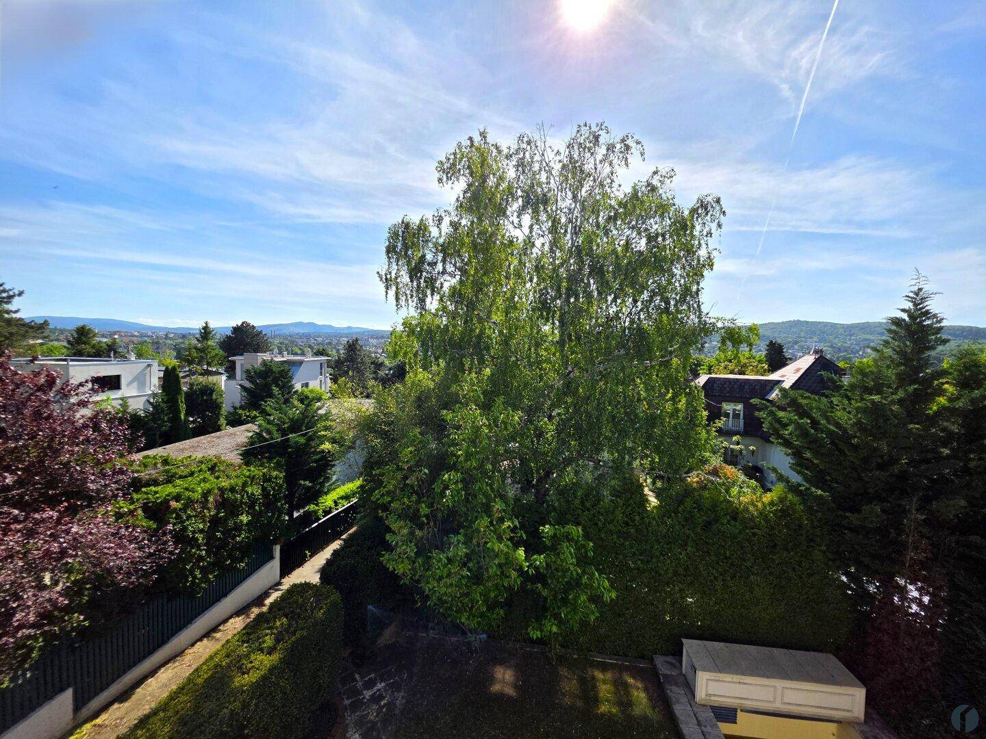 Weitläufiger Blick über grüne Bäume und Dächer der Umgebung an einem sonnigen Tag.