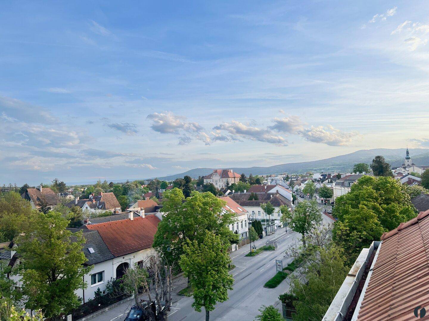 Panoramablick über eine charmante Stadt mit einer belebten Straße und grünen Bäumen.