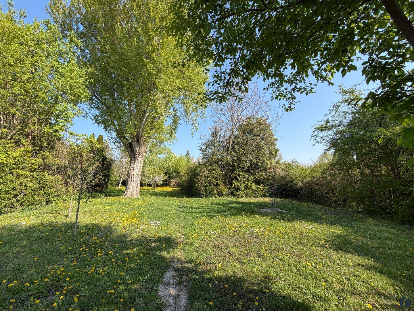 Weitläufiger Garten mit Rasenfläche, Bäumen und blühenden Wiesenblumen unter blauem Himmel.