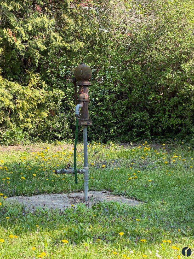 Alter Wasserbrunnen im Garten, umgeben von grüner Wiese und blühenden Pflanzen.