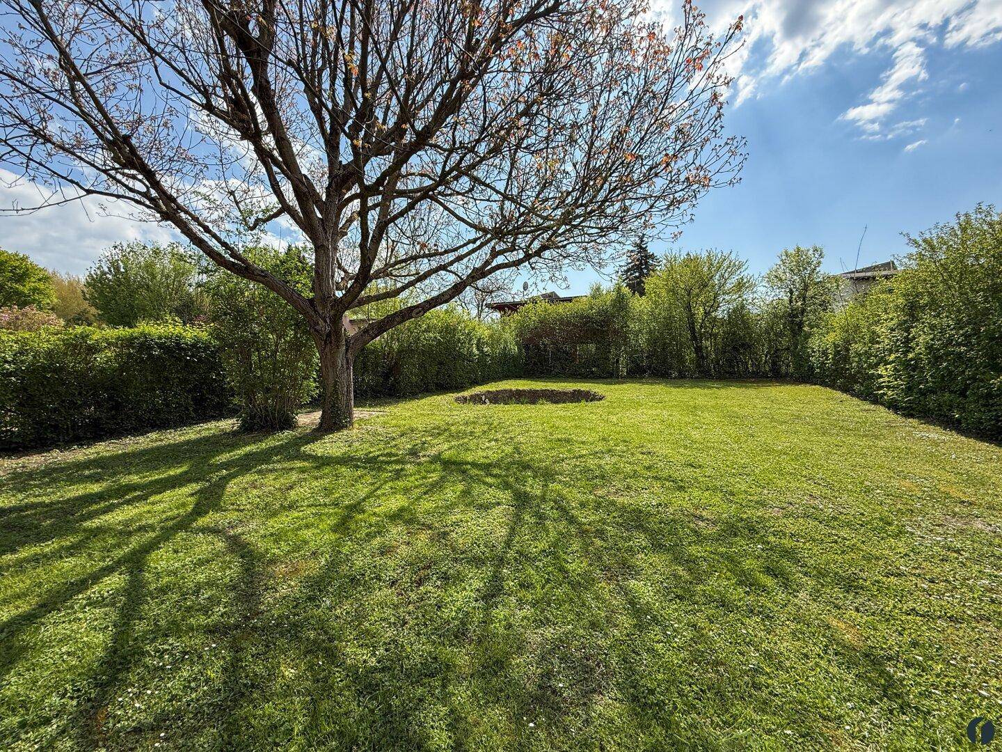 Großer, gepflegter Garten mit altem Baum und weitläufiger Rasenfläche.
