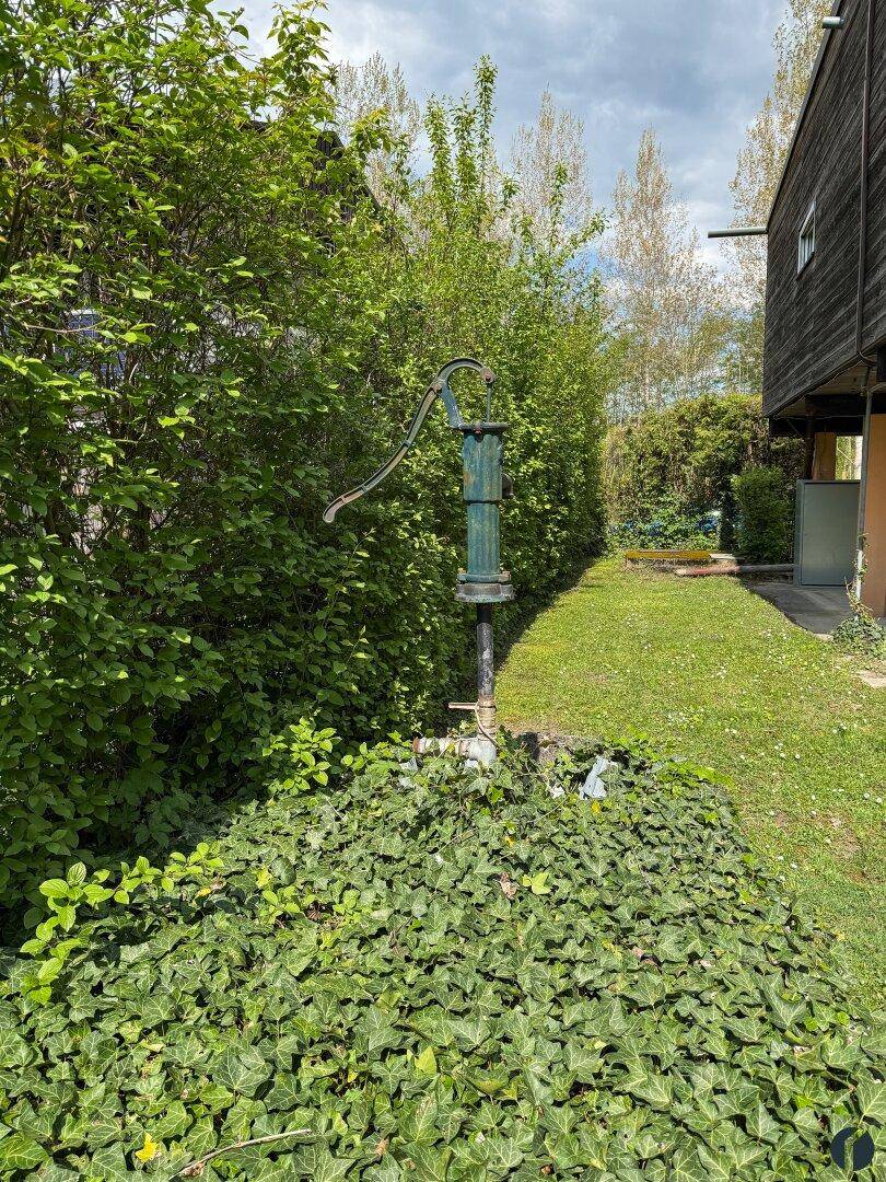 Grüner Gartenbereich mit einer traditionellen Wasserpumpe und üppiger Bepflanzung.