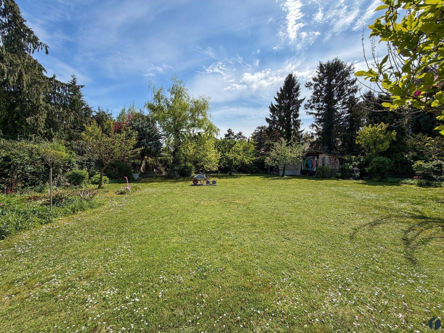 Weitläufige Rasenfläche im Garten mit Gartenhaus im Hintergrund und viel Grün.