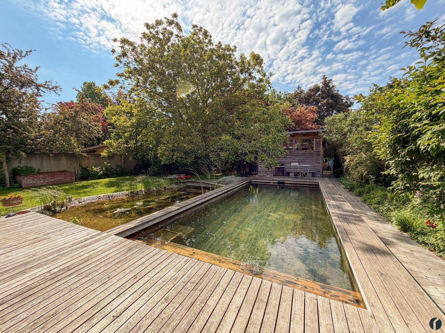 Naturpool mit großzügigem Holzdeck und Gartenhaus im Hintergrund.