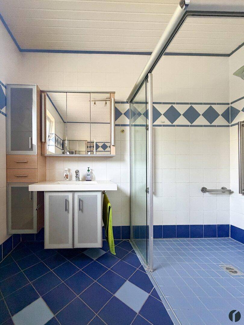 Badezimmer mit blauen Fliesen, Duschkabine, Einzelwaschbecken und Spiegelschrank.