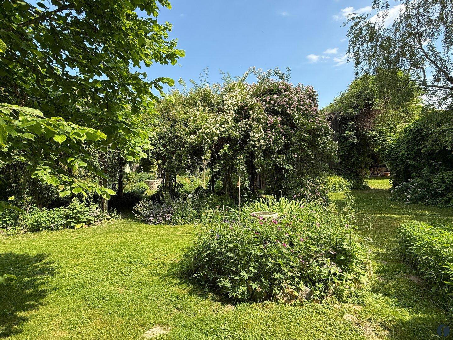 Üppiger grüner Garten mit vielfältiger Bepflanzung und blühenden Sträuchern.