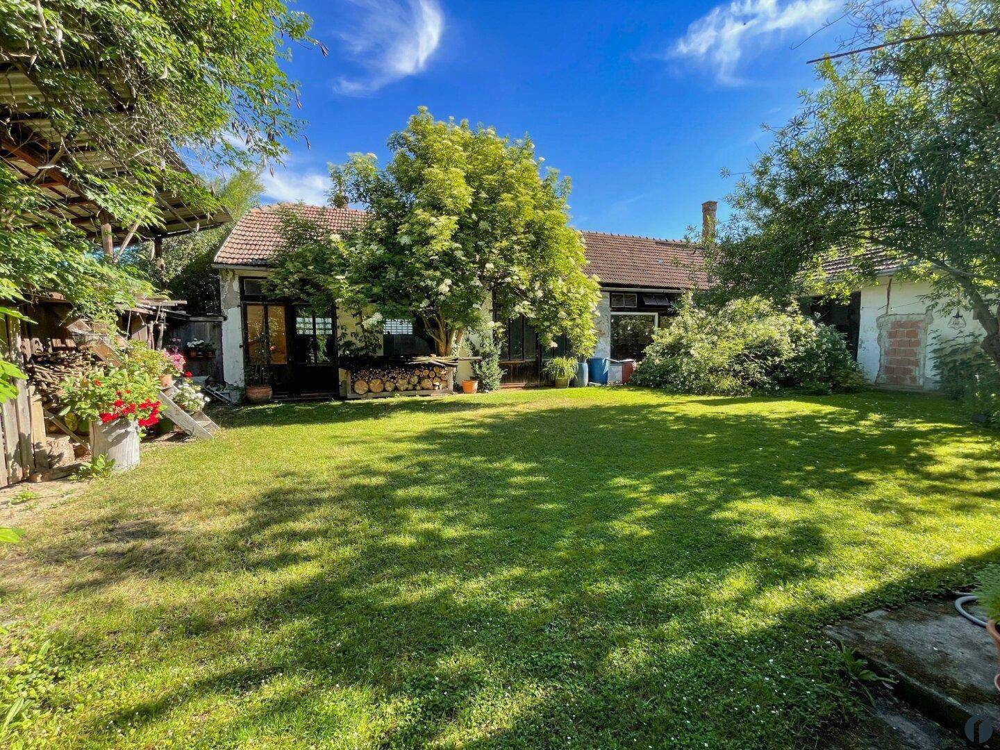 Sonniger Garten mit großer Rasenfläche, Bäumen und einem rustikalen Holzschuppen im Hintergrund.