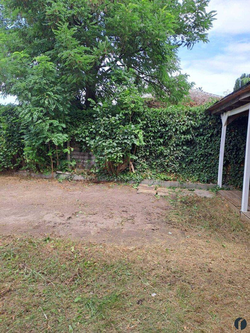 Großer Gartenbereich mit Rasenfläche, hohen Hecken und einem Baum im Hintergrund.
