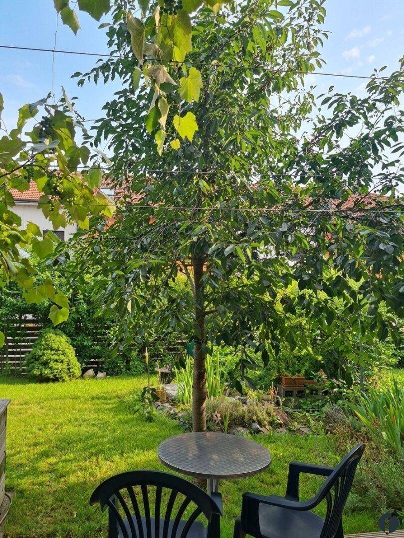 Grüner Garten mit Rasenfläche, Bäumen und kleiner Sitzgelegenheit.