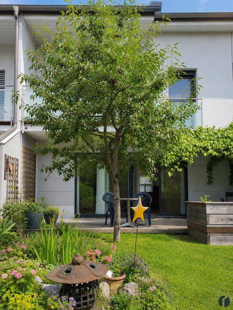 Gepflegter Garten mit Rasen, Terrasse und einem kleinen Baum.