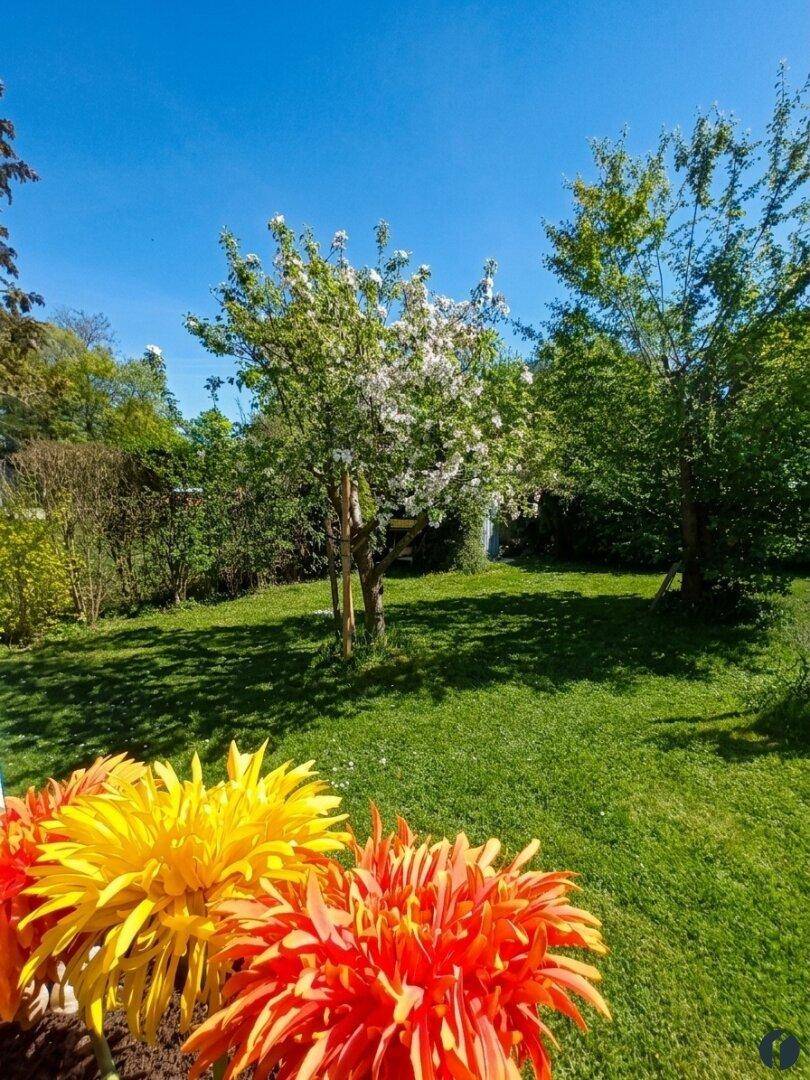 Großer, gepflegter Garten mit blühenden Bäumen und einer weiten Rasenfläche unter blauem Himmel.