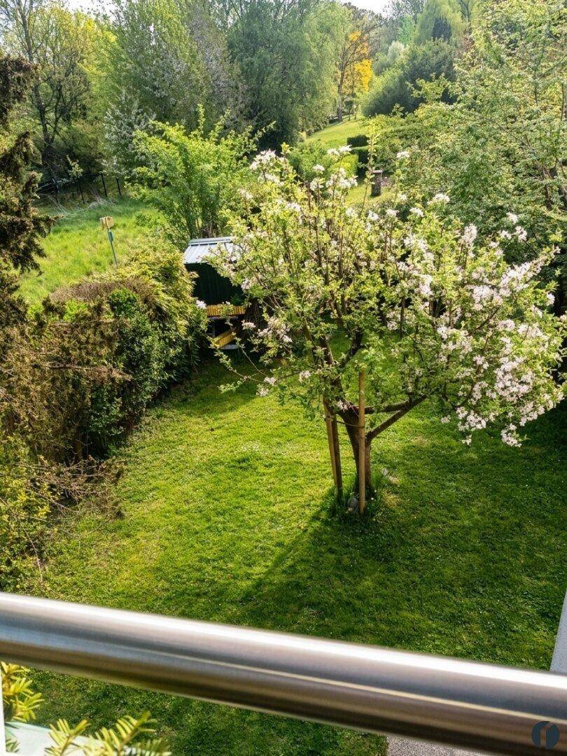 Weitläufiger Garten mit blühendem Baum und Rasenfläche, gesehen von einem Balkon.