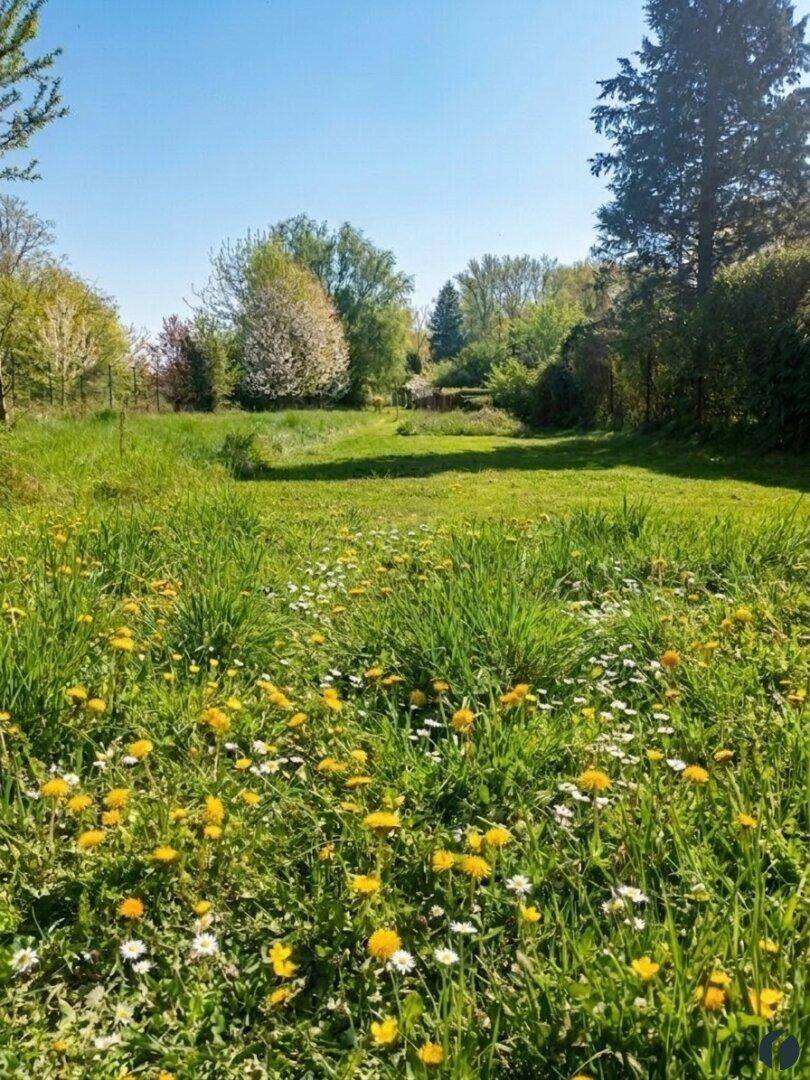 Weite Wiesenlandschaft mit bunten Blumen und Bäumen unter strahlend blauem Himmel.