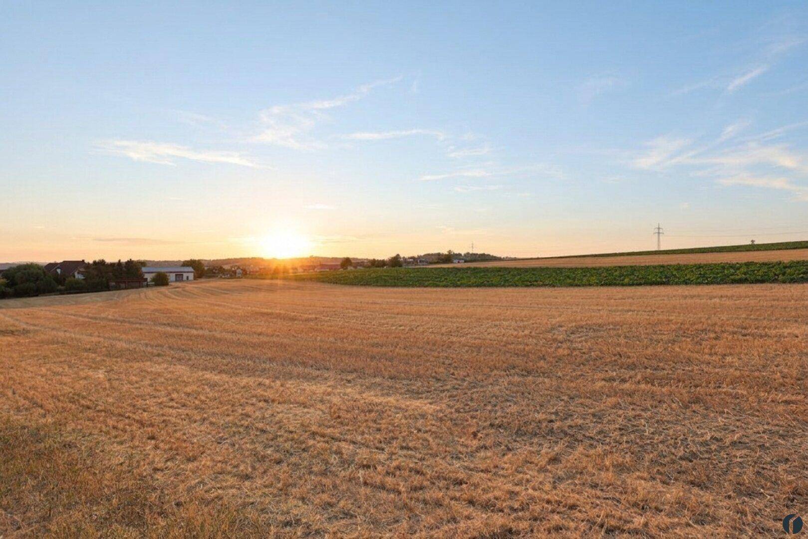 Sonnenuntergang über weiten Feldern mit ländlicher Umgebung und weitem Blick.