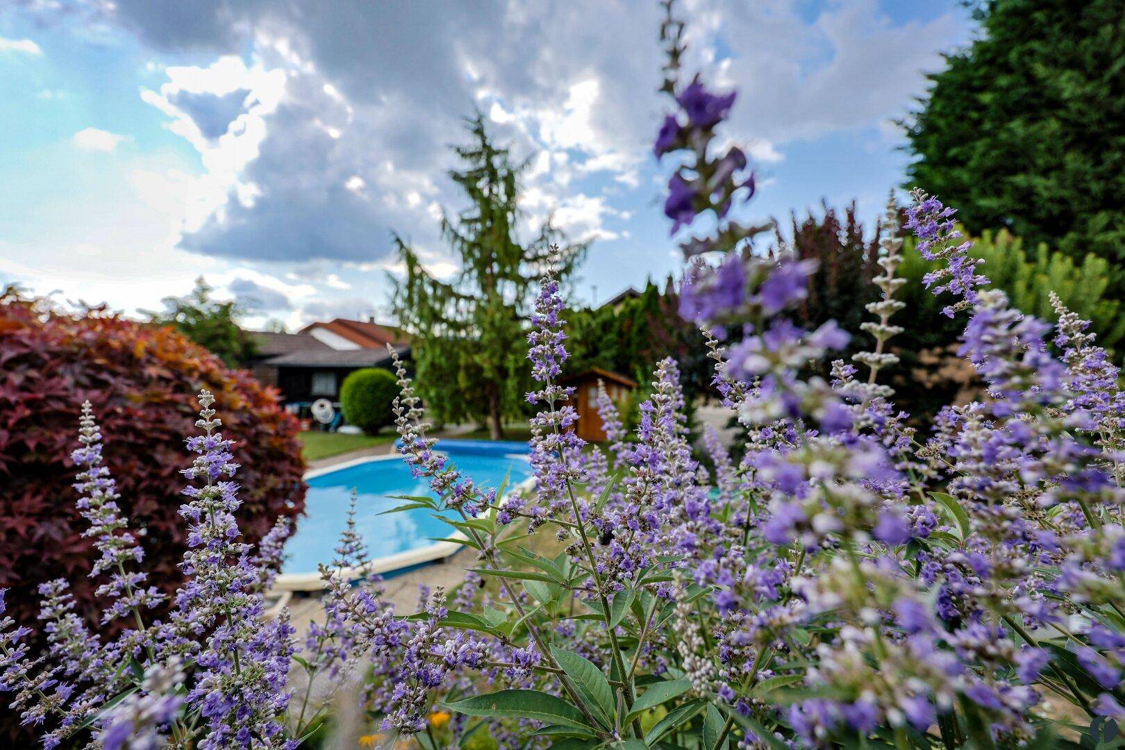 Sommerdomizil mit Pool auf großzügigem Pachtgrundstück - Ansicht 4