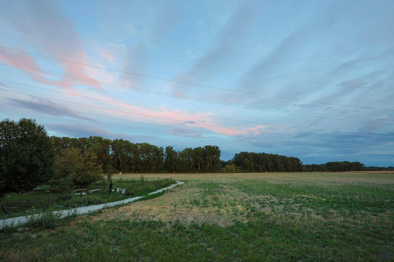 Weitläufige Landschaft mit Feldern, Bäumen und einem Weg unter einem bewölkten Himmel.
