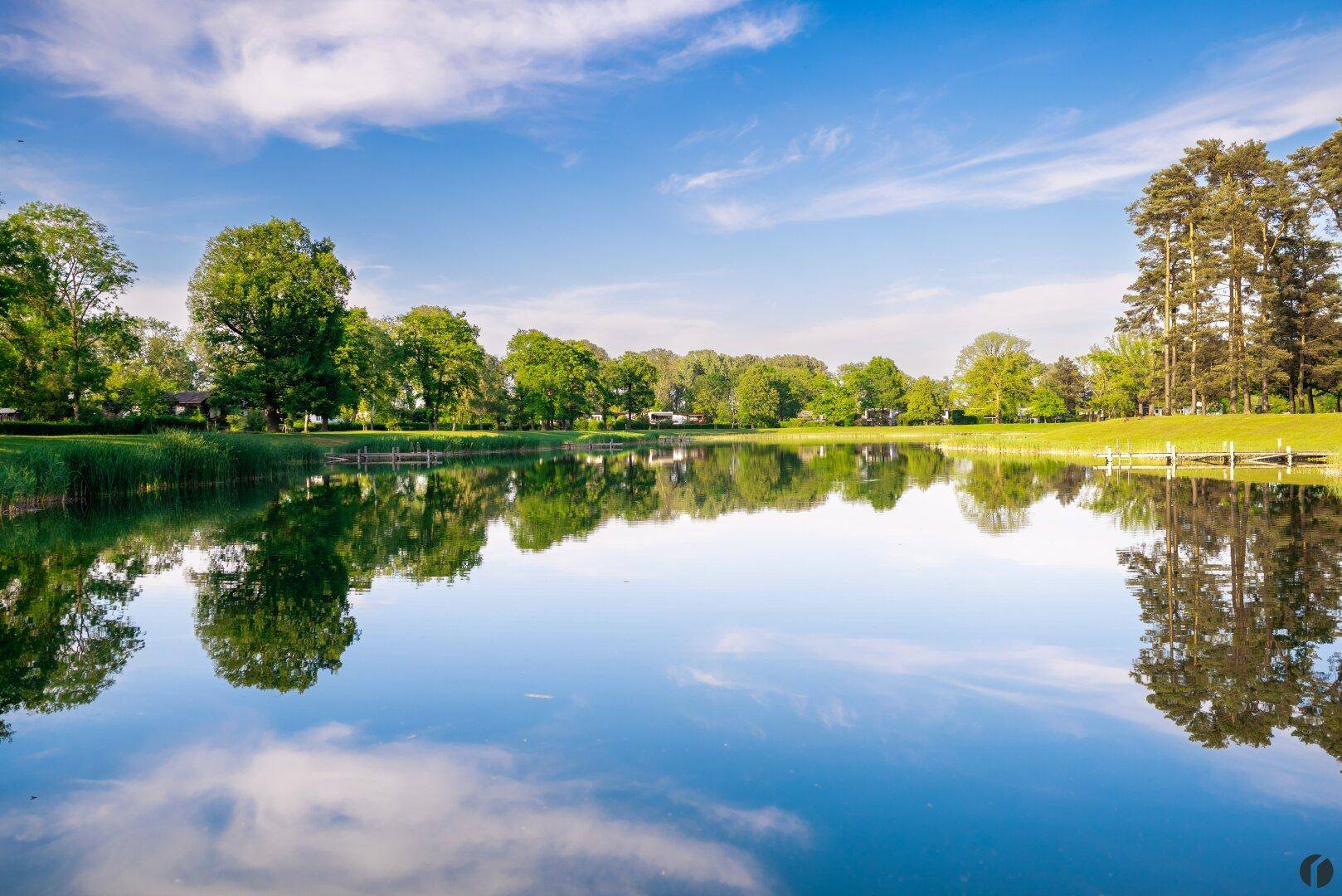 Weitläufiger Blick über einen spiegelglatten See, umgeben von grünen Bäumen unter einem blauen Himmel.