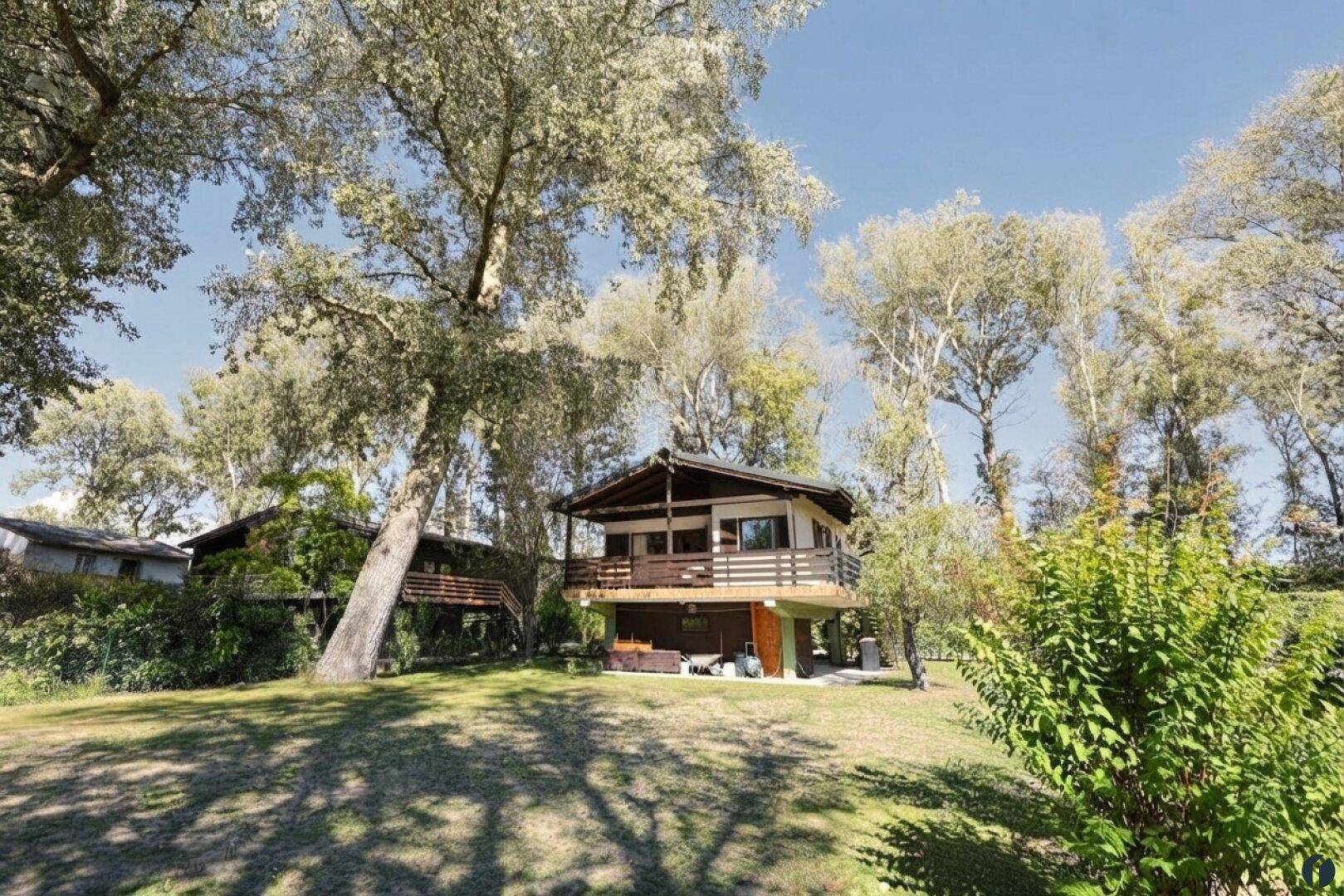 Malerisches Stelzenhaus in einer grünen Umgebung mit vielen Bäumen und weitläufiger Rasenfläche.
