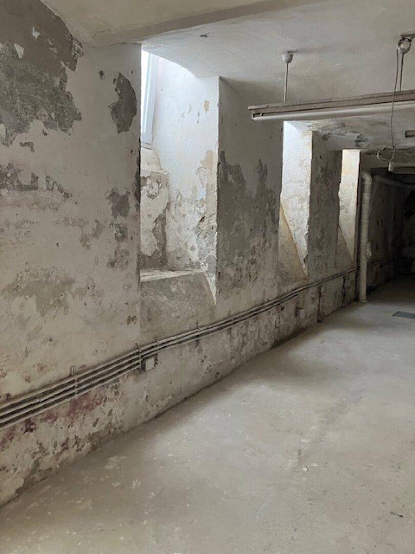 Langer Kellerraum mit Betonboden, abblätternden Wänden und einem kleinen Fenster, das Licht hereinlässt.
