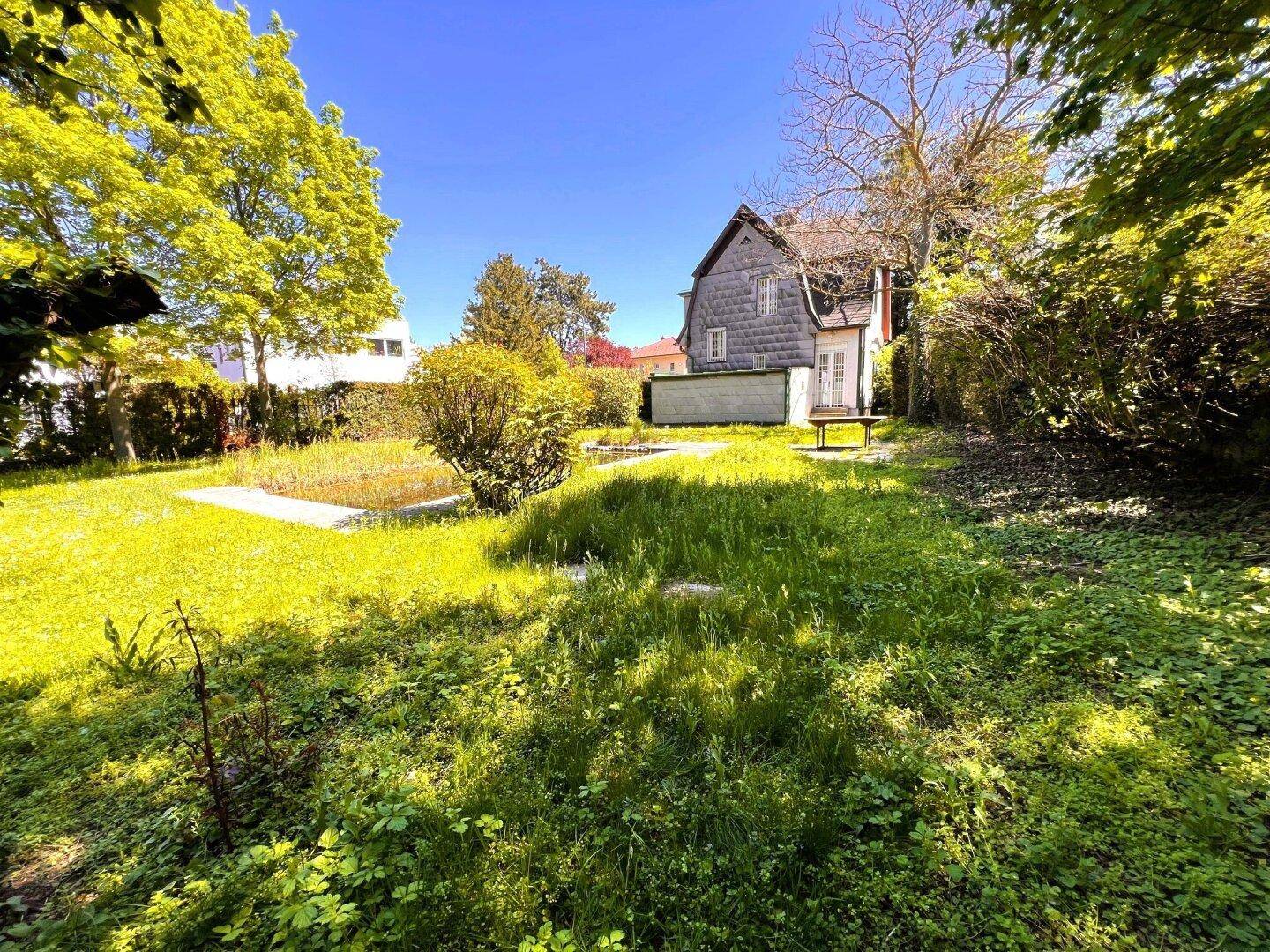 Grüner Garten mit Teich und üppiger Vegetation, das Haus ist im Hintergrund sichtbar unter blauem Himmel.