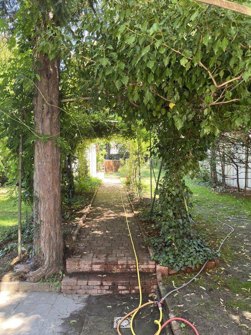 Idyllischer Gartenweg unter einer üppig bewachsenen Pergola, umgeben von hohen Bäumen.