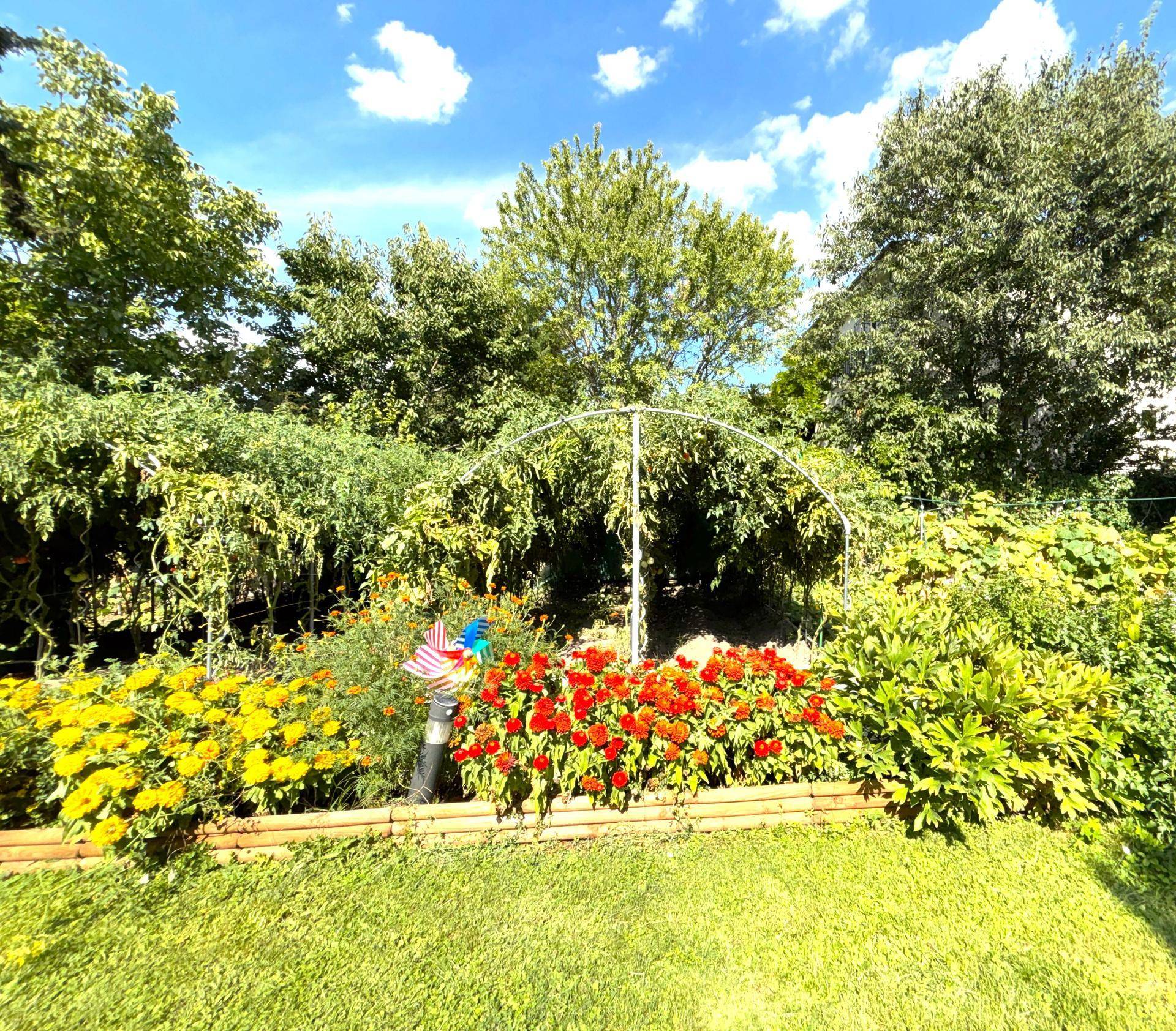 Farbenfroher Gartenbereich mit verschiedenen Blumenbeeten und üppiger Vegetation unter blauem Himmel.