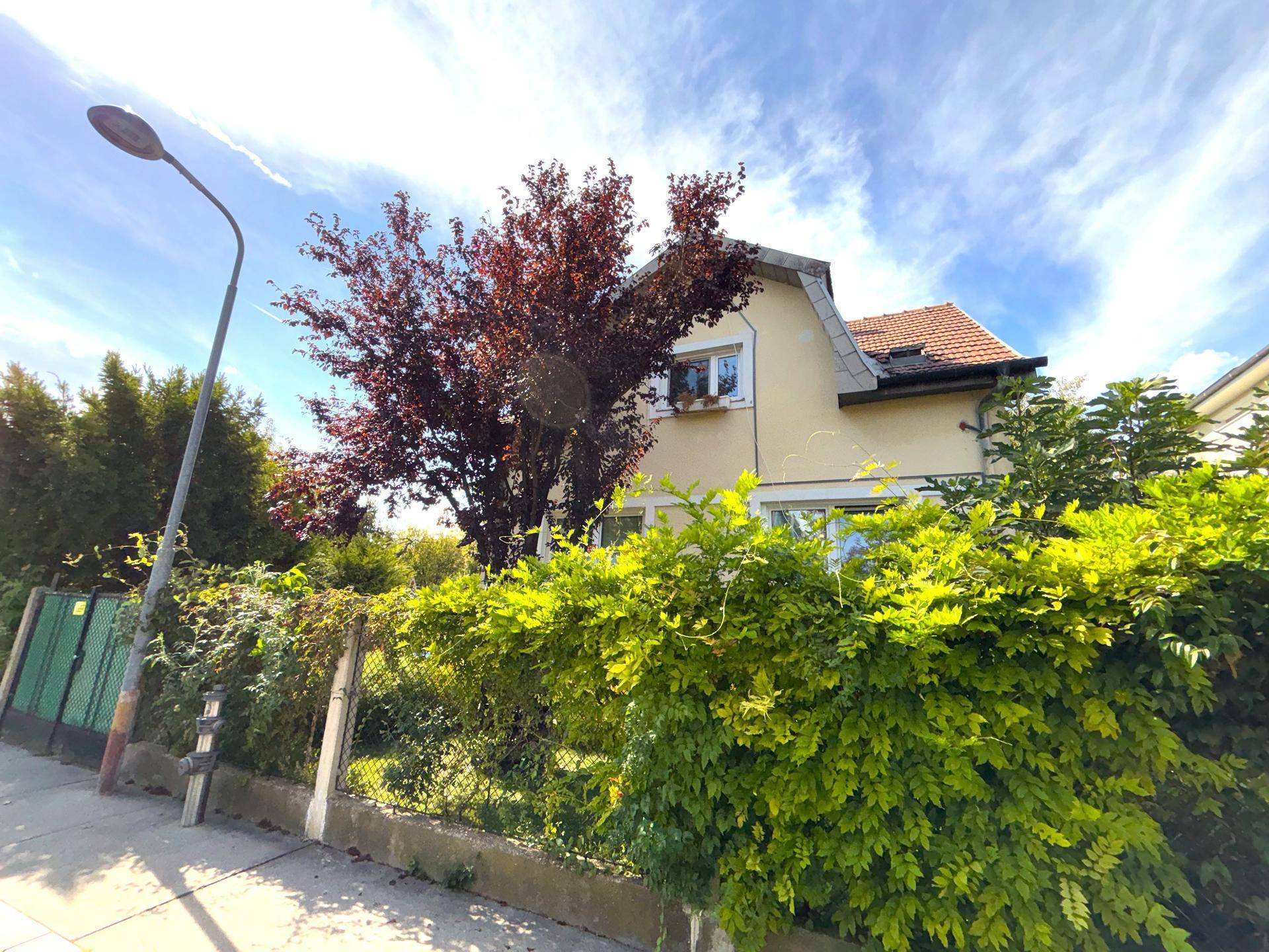 Hausfassade mit üppiger Begrünung und einem Baum im Vorgarten, gesehen von der Straße.