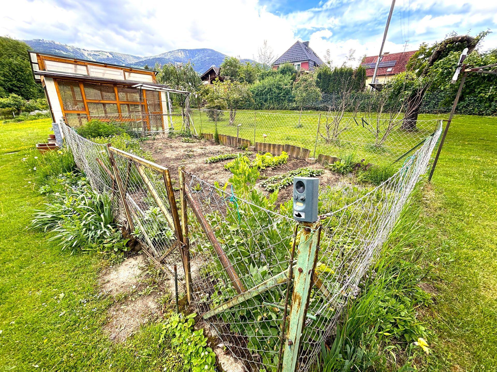 Eingezäunter Gemüsegarten mit jungen Pflanzen und einem Gewächshaus im Hintergrund.