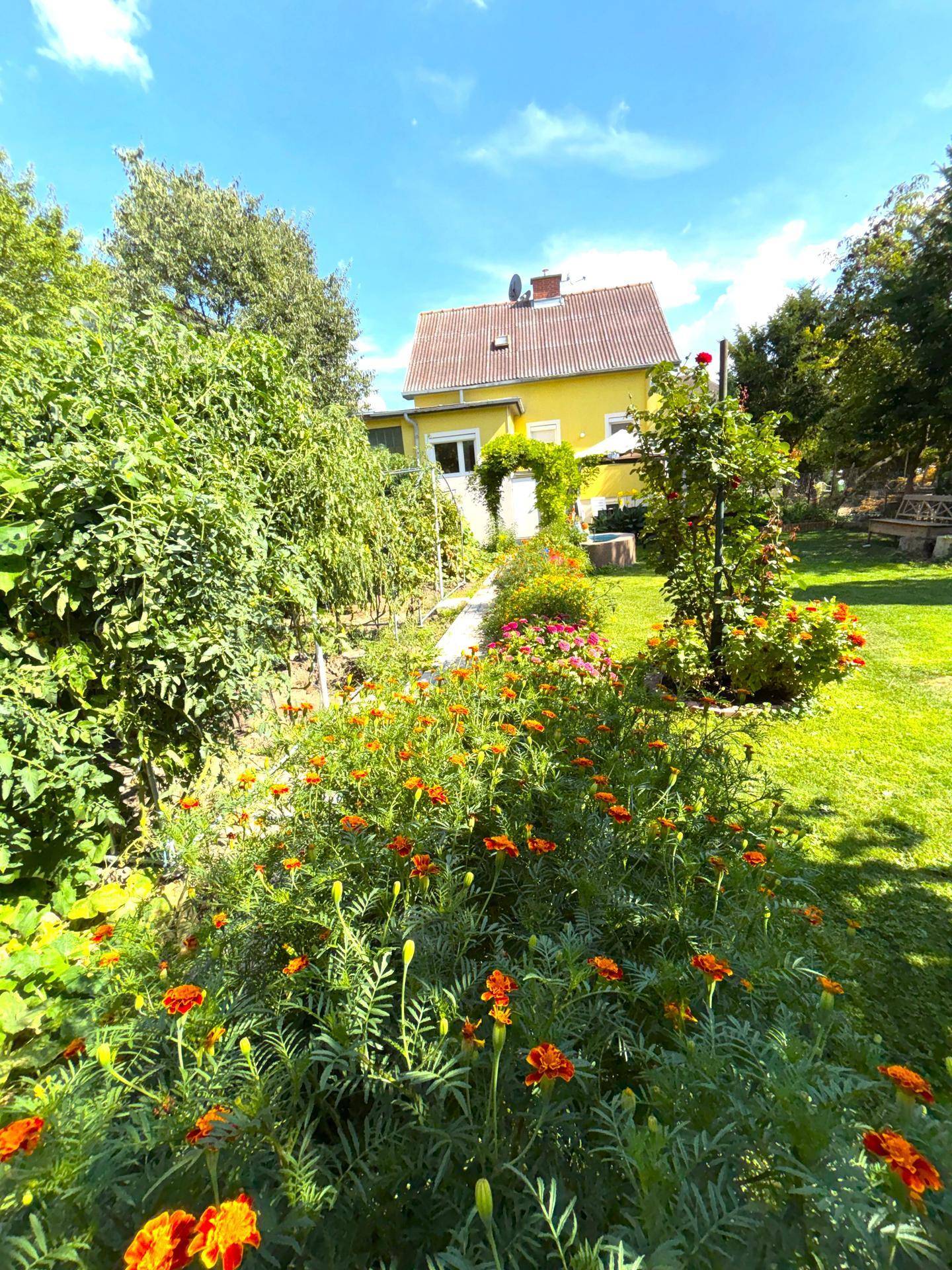 Gepflegter Garten mit Blumenbeeten und einem Weg, der zum gelben Haus führt.