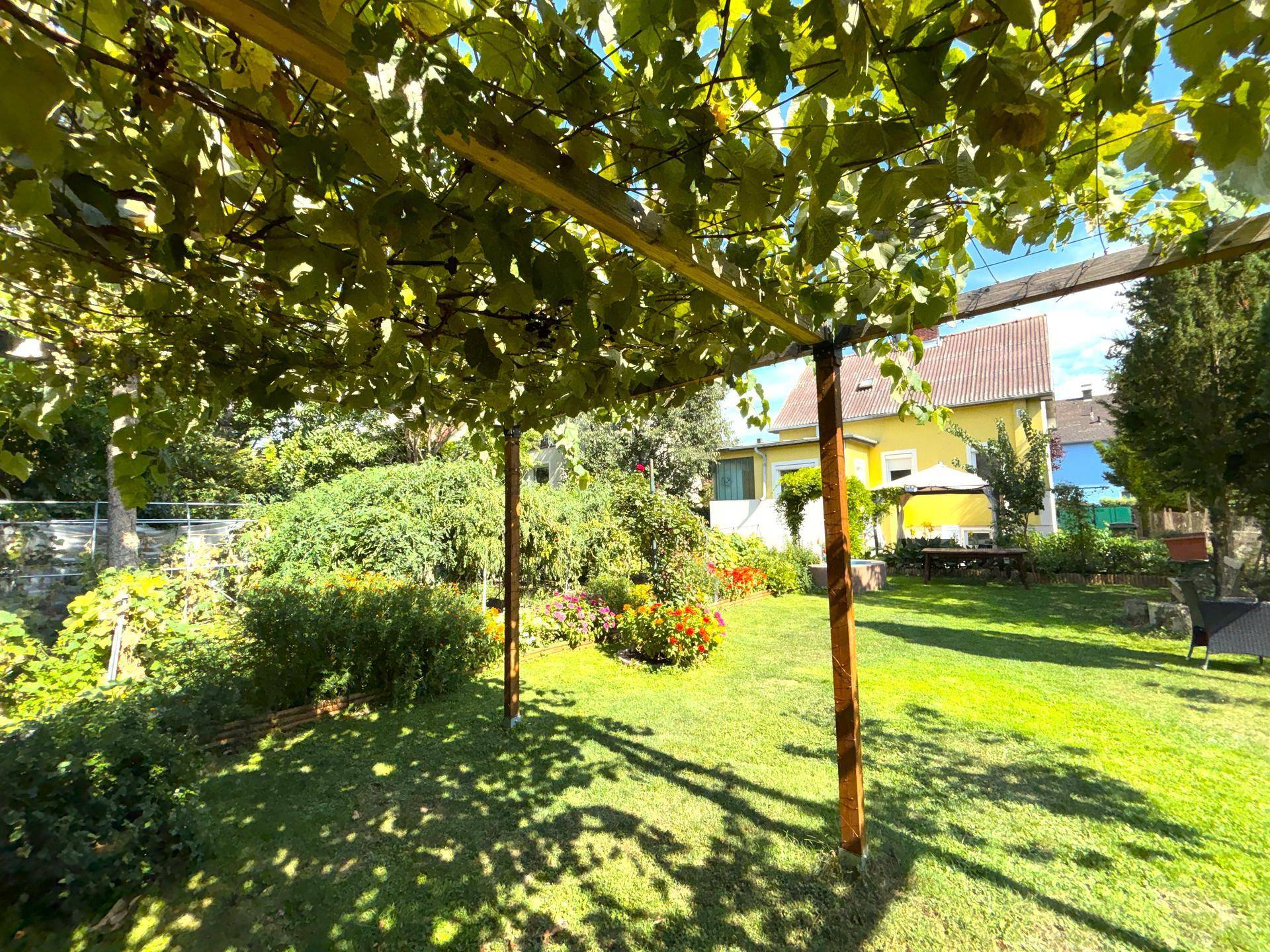 Weitläufiger Garten mit Rasenfläche, Blumenbeeten und einer Pergola mit Weinreben.