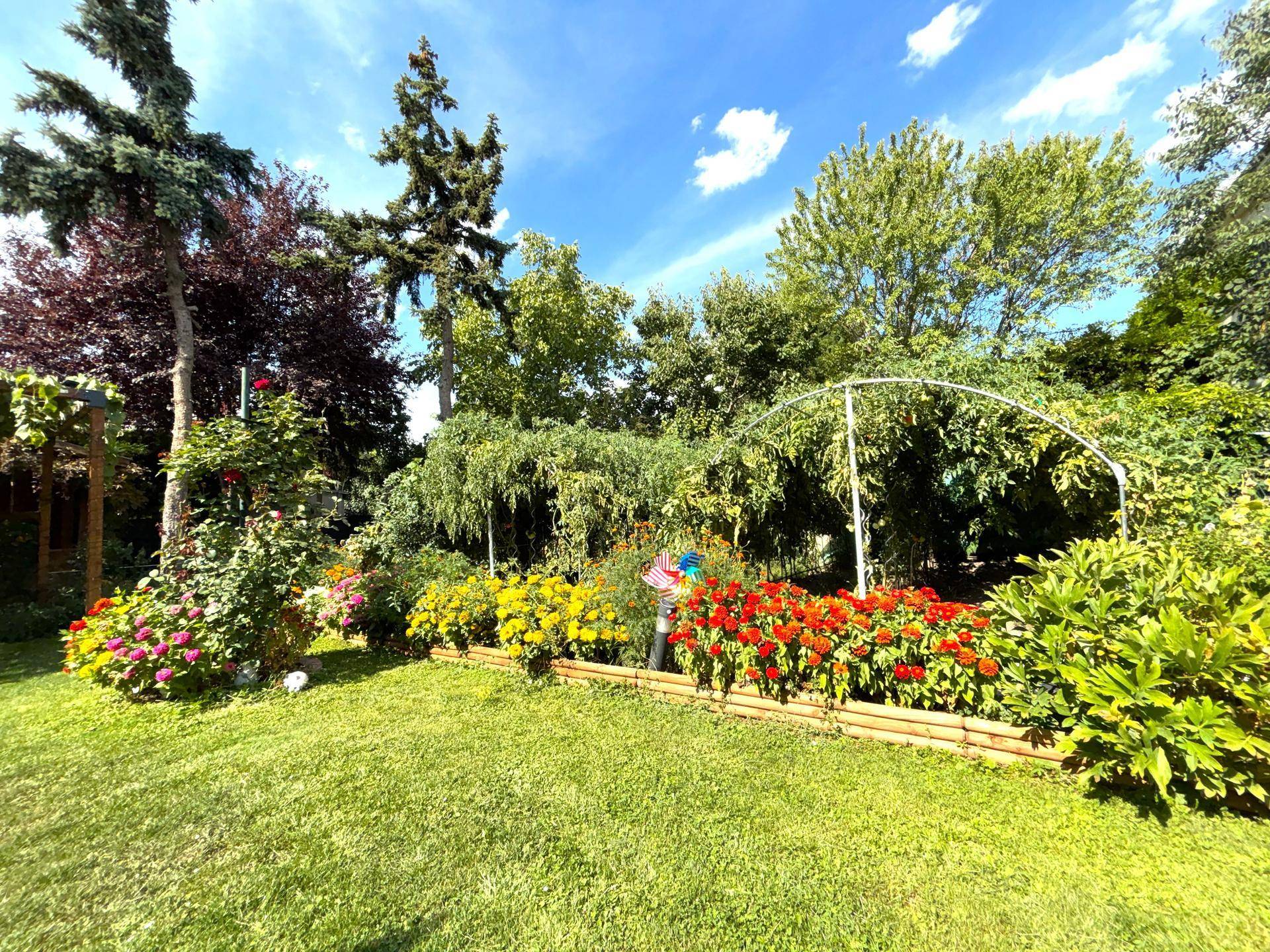 Farbenfroher Garten mit verschiedenen Blumen, Sträuchern und hohen Bäumen unter blauem Himmel.