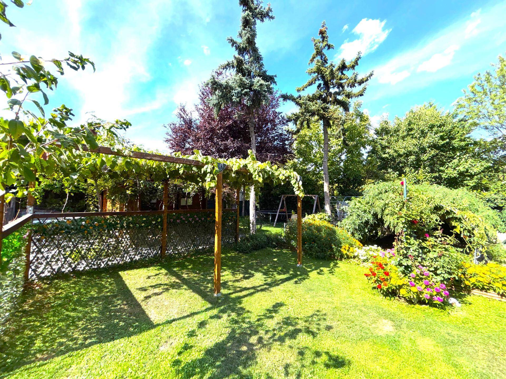 Grüner Gartenbereich mit Rasen, Bäumen und einer Holzpergola, die Schatten spendet.