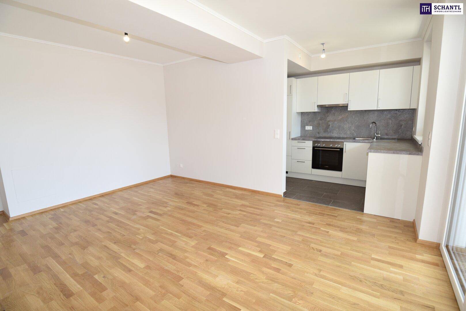 Offener Wohnbereich mit integrierter Küche, Parkettboden und viel Tageslicht, modern gestaltet.