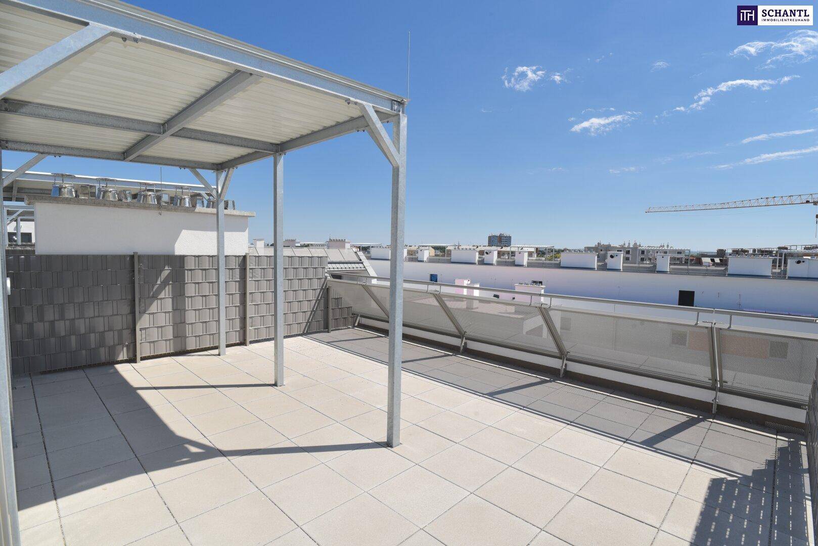 Geräumige Dachterrasse mit Fliesenboden und schattenspendender Pergola unter blauem Himmel.