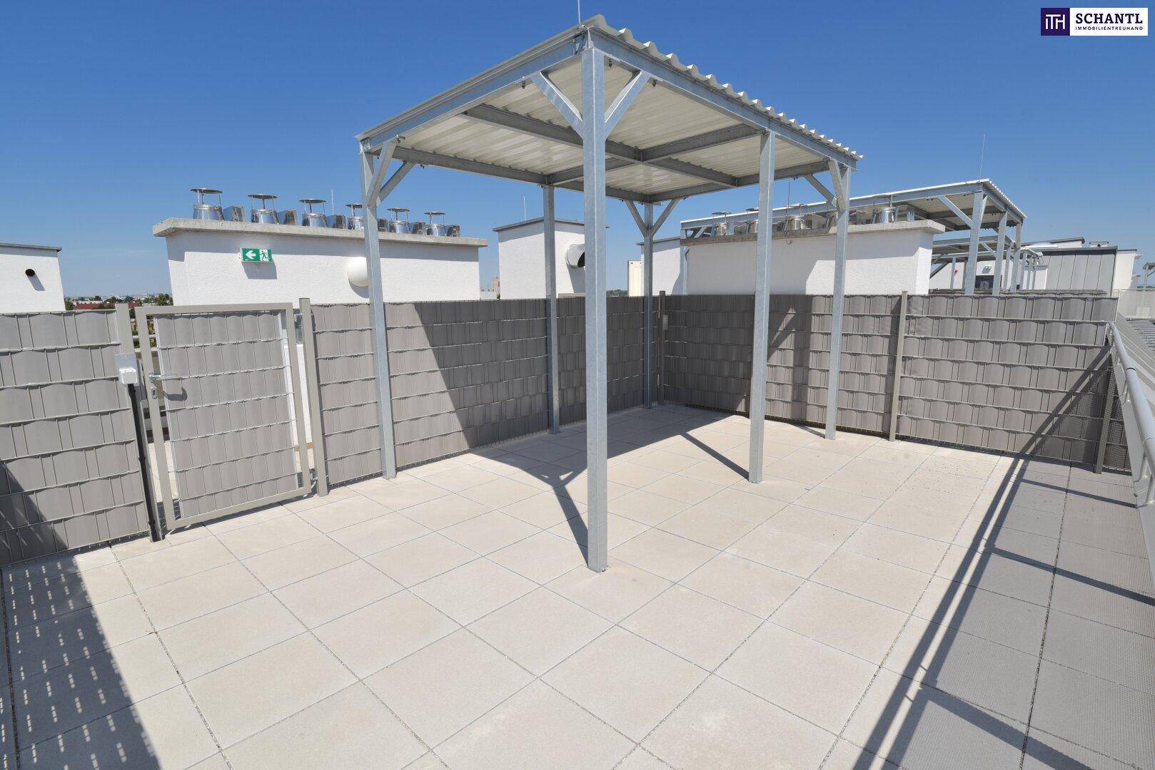 Dachterrasse mit Fliesenboden und Metallpergola unter blauem Himmel, ideal für sonnige Tage.