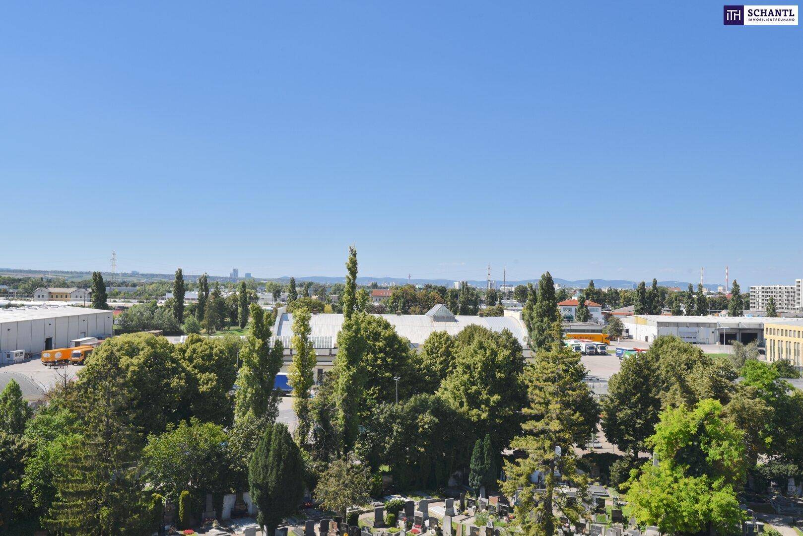 Weitläufiger Ausblick über grüne Baumlandschaften und die umliegende Bebauung unter blauem Himmel.